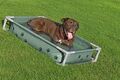 Bestway Fetchin' Fun legepool og seng